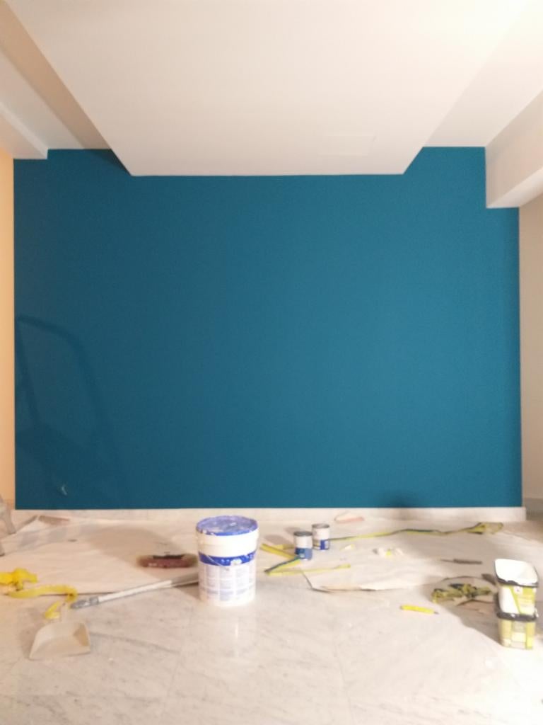 Professionnel en bâtiment peintre et plafonneur 0467812240