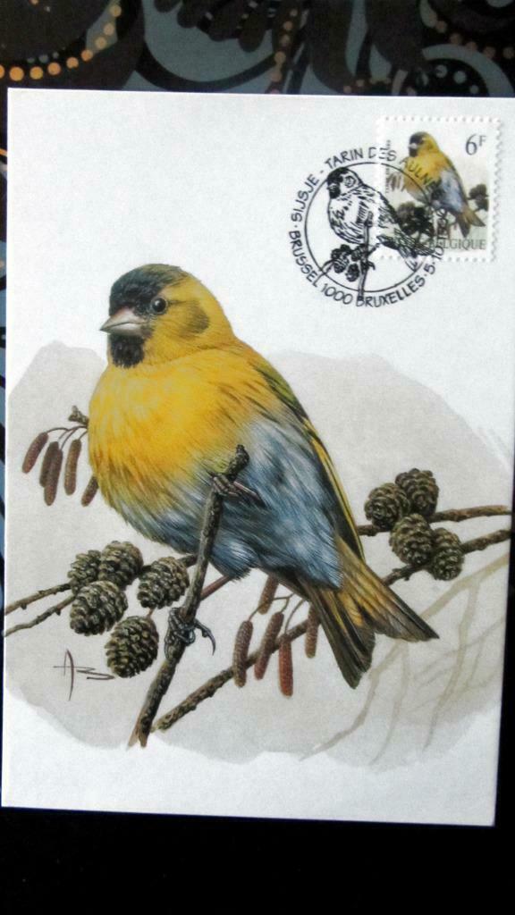 FIRST DAY OP KAART- VOGELS VAN BUZIN- HET SIJSJE, Ophalen of Verzenden, Gestempeld, Dier of Natuur