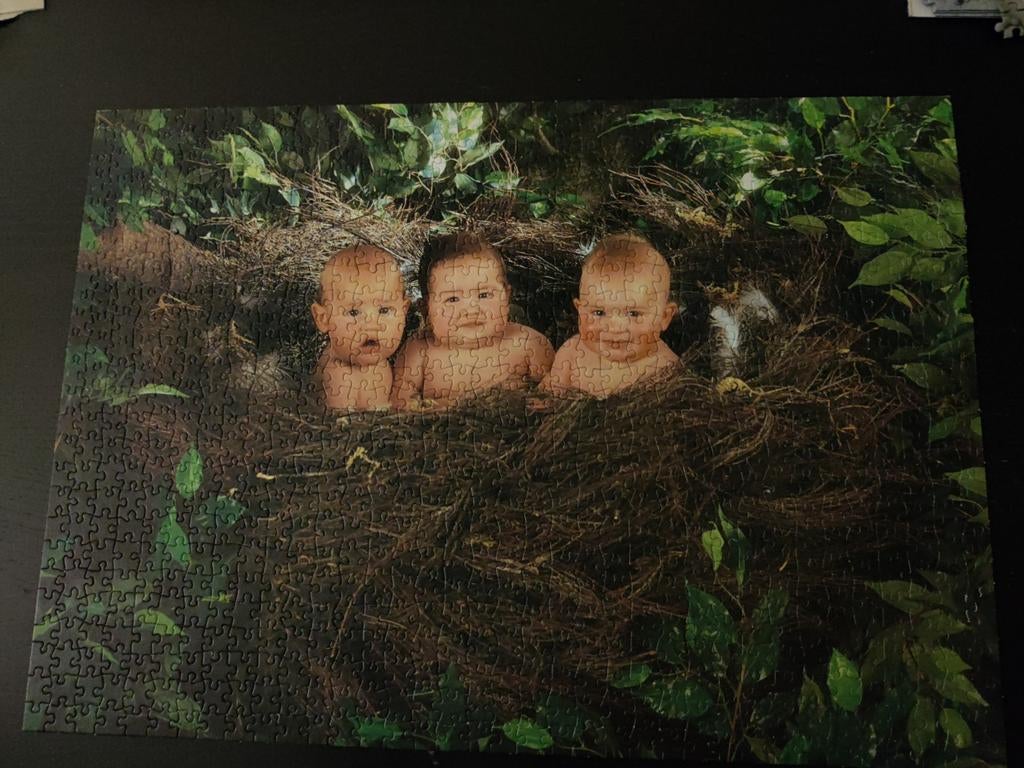 Anne geddes puzzel, Ophalen of Verzenden, Zo goed als nieuw