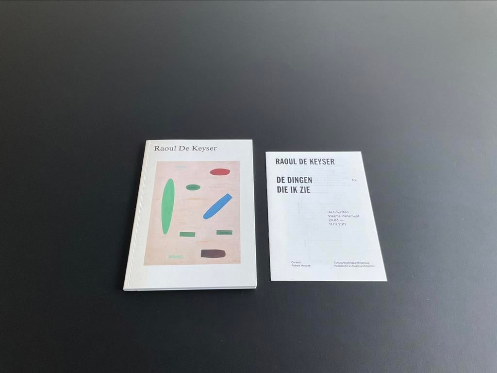Raoul De Keyser De dingen die ik zie 2011, Ophalen of Verzenden