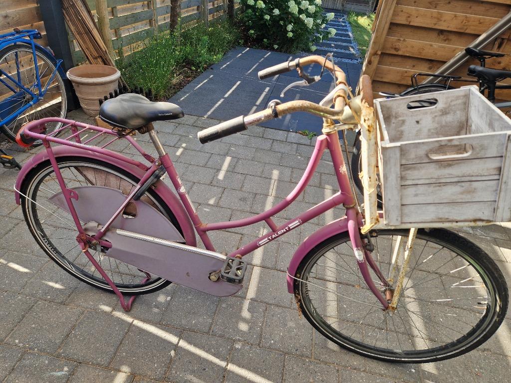 Roos/paarse Hollandse fiets, Ophalen, Gebruikt, Overige merken, (Extra) lage instap