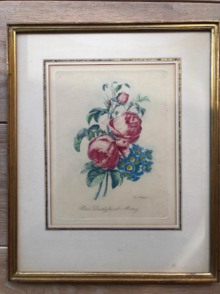 Gravure 19 ème, Pierre Joseph Redouté, Antiquités & Art, Enlèvement ou Envoi