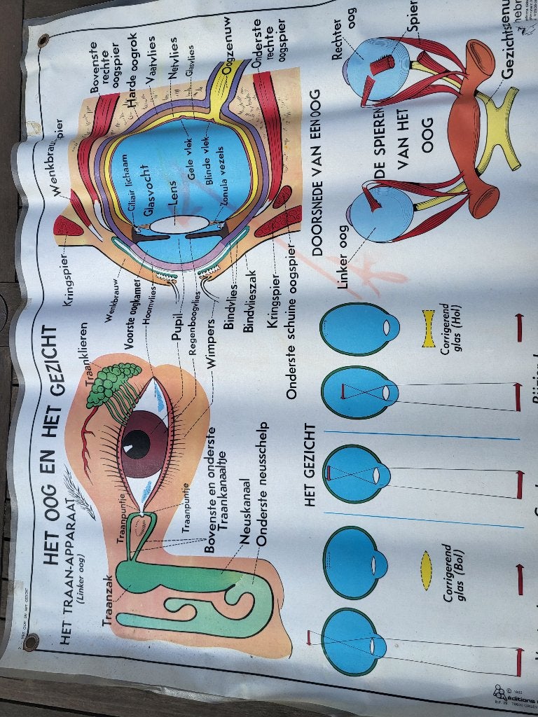 Didactische plaat: oog en oor, Ophalen