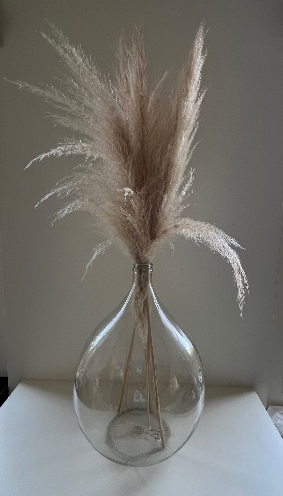Grande Dame Jeanne avec des plumes de la pampa, Enlèvement