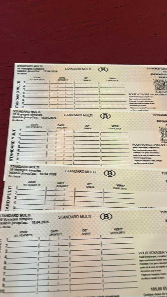 Une carte Standard multi SNCB vierge - Validité 10/04/2026, Tickets & Billets, Une personne, Train, Billet normal