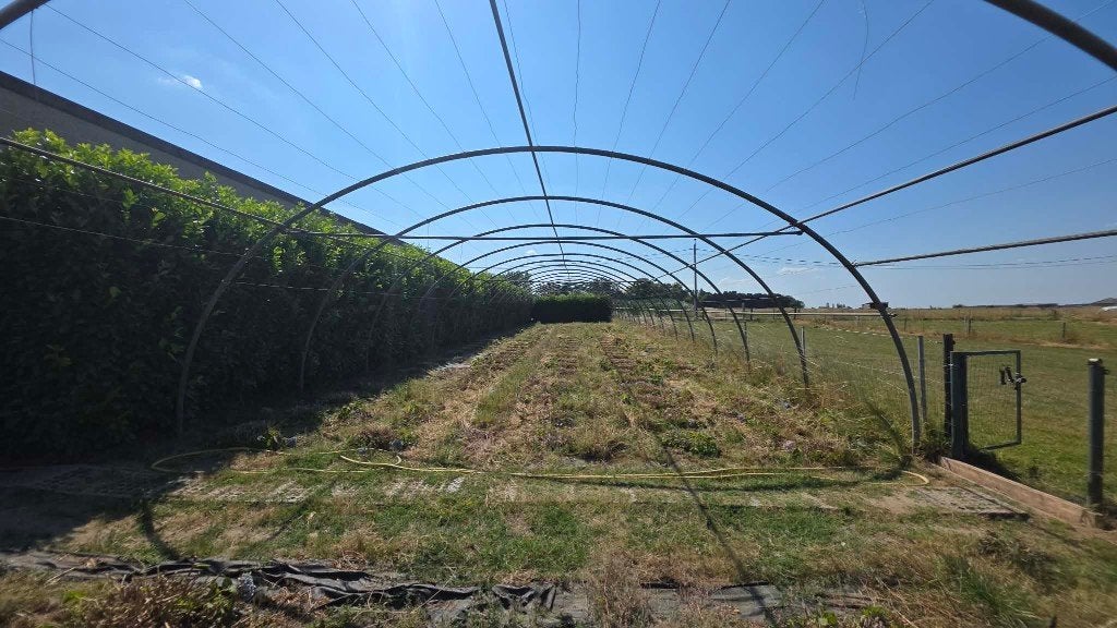 Boogtunnel frame te koop, Tuin en Terras, Overige Tuin en Terras, Ophalen, Zo goed als nieuw