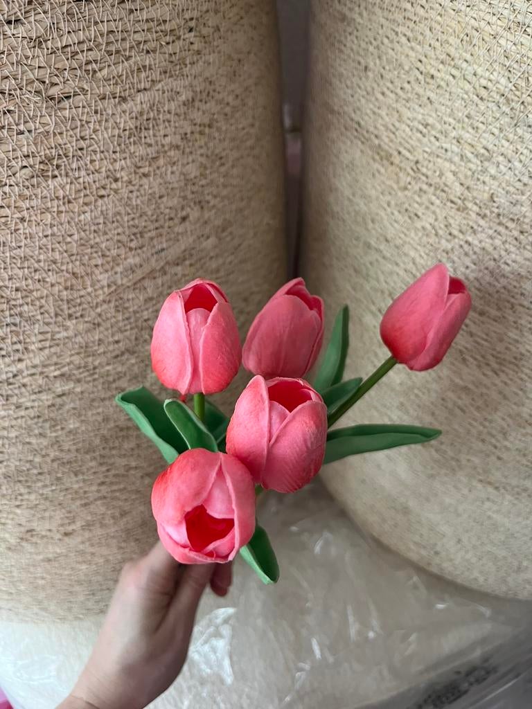 5 tulipes roses bicolore, Enlèvement ou Envoi, Neuf