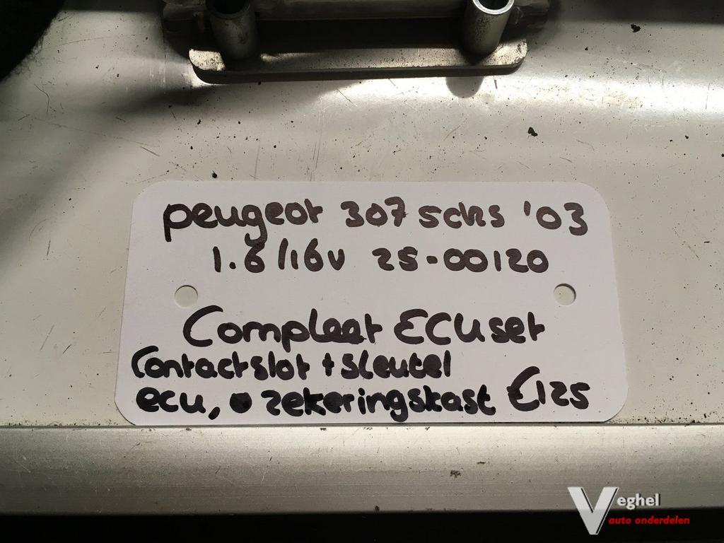 Peugeot 307 1.6 16v 5drs 2003 2500120 ECU set, -, Utilisé, -, -