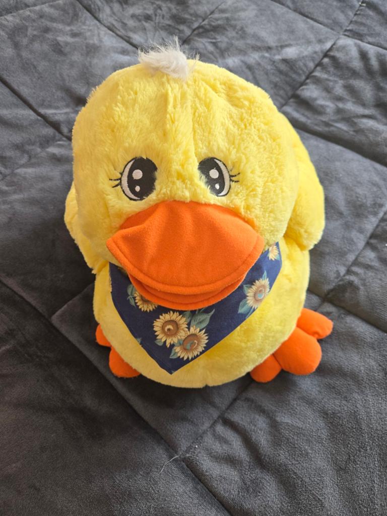 Grote Pluchen Eend, Ophalen, Eend