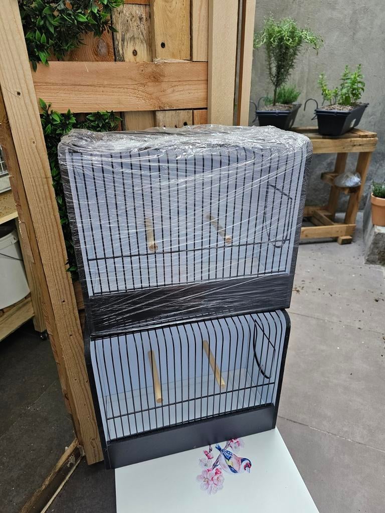 Nieuw   TT - Kooien, Dieren en Toebehoren, Ophalen