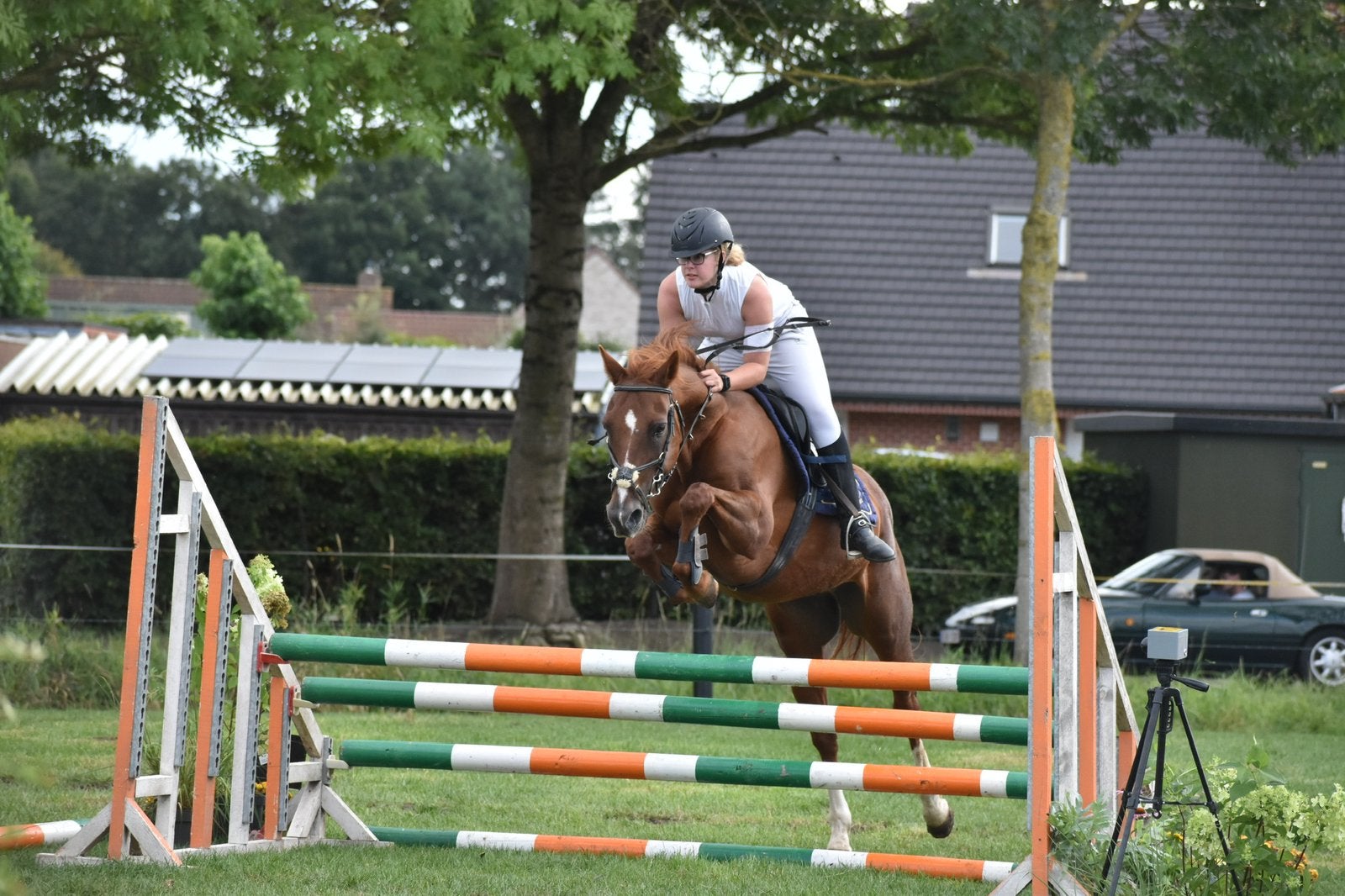 Halve stal gezocht