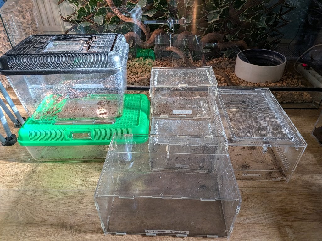 Verschillende terrariums, Ophalen, Gebruikt, Terrarium of Paludarium