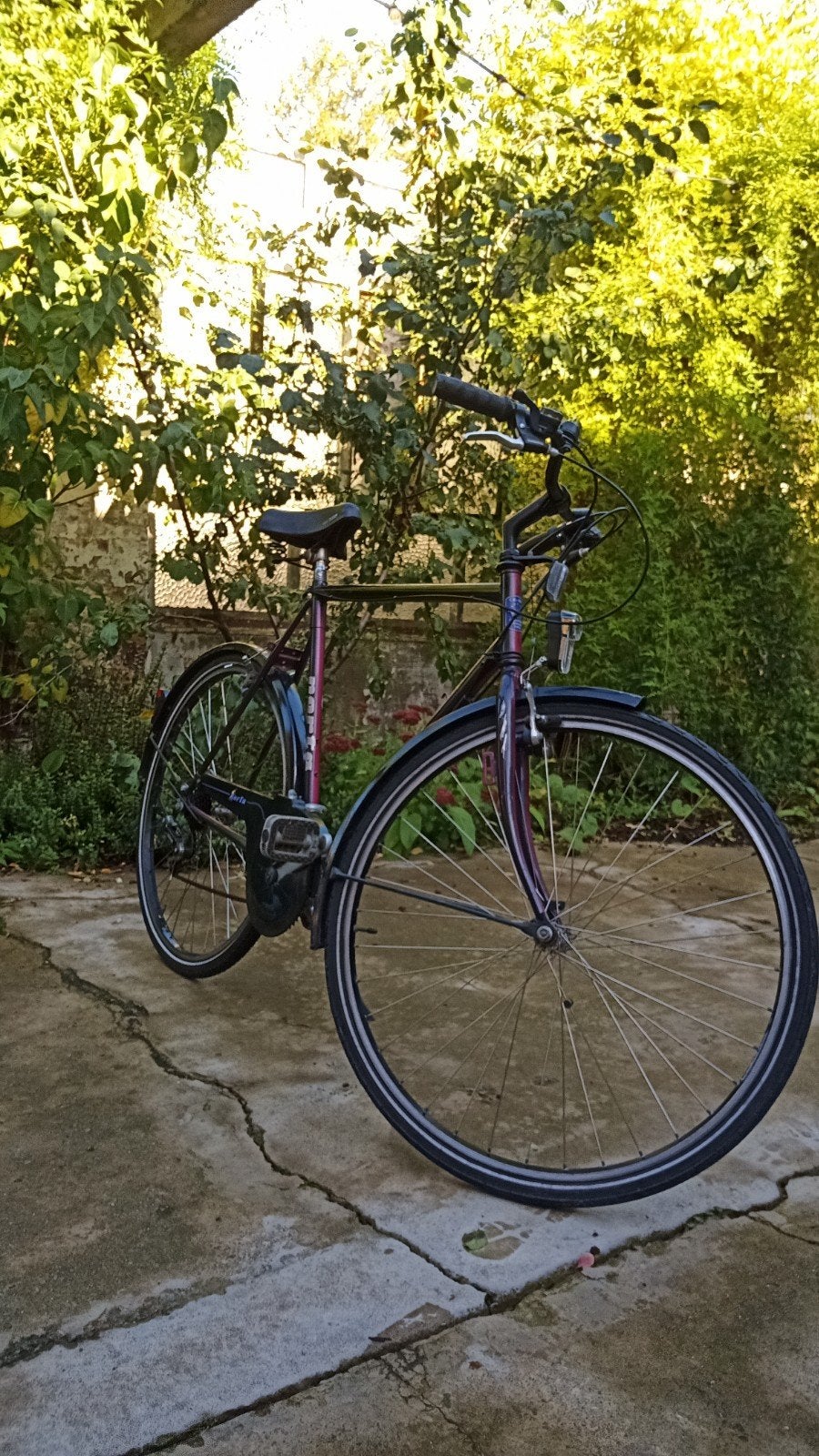 heren fiets, voor studenten of fiets liefhebbers, 28 inch, Velgrem, 56 cm of meer, Ophalen