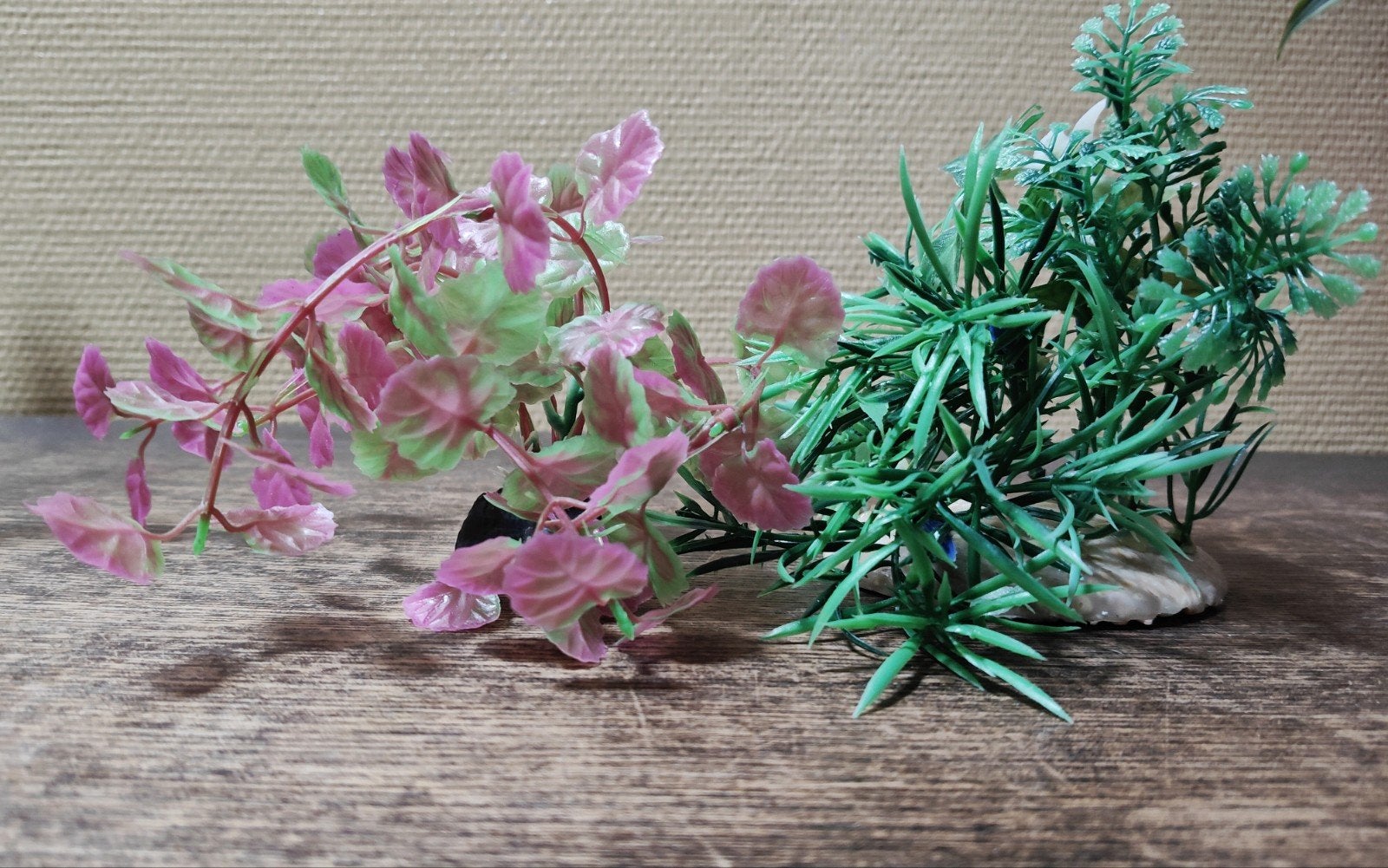Plastieken aquarium/ terrarium plantjes, Ophalen, Zo goed als nieuw, Decoratie