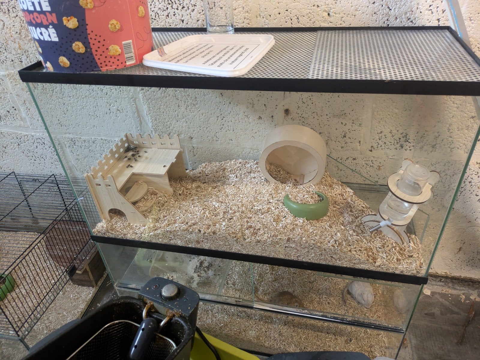 2 gerbils met kooi, Dieren en Toebehoren, Januari