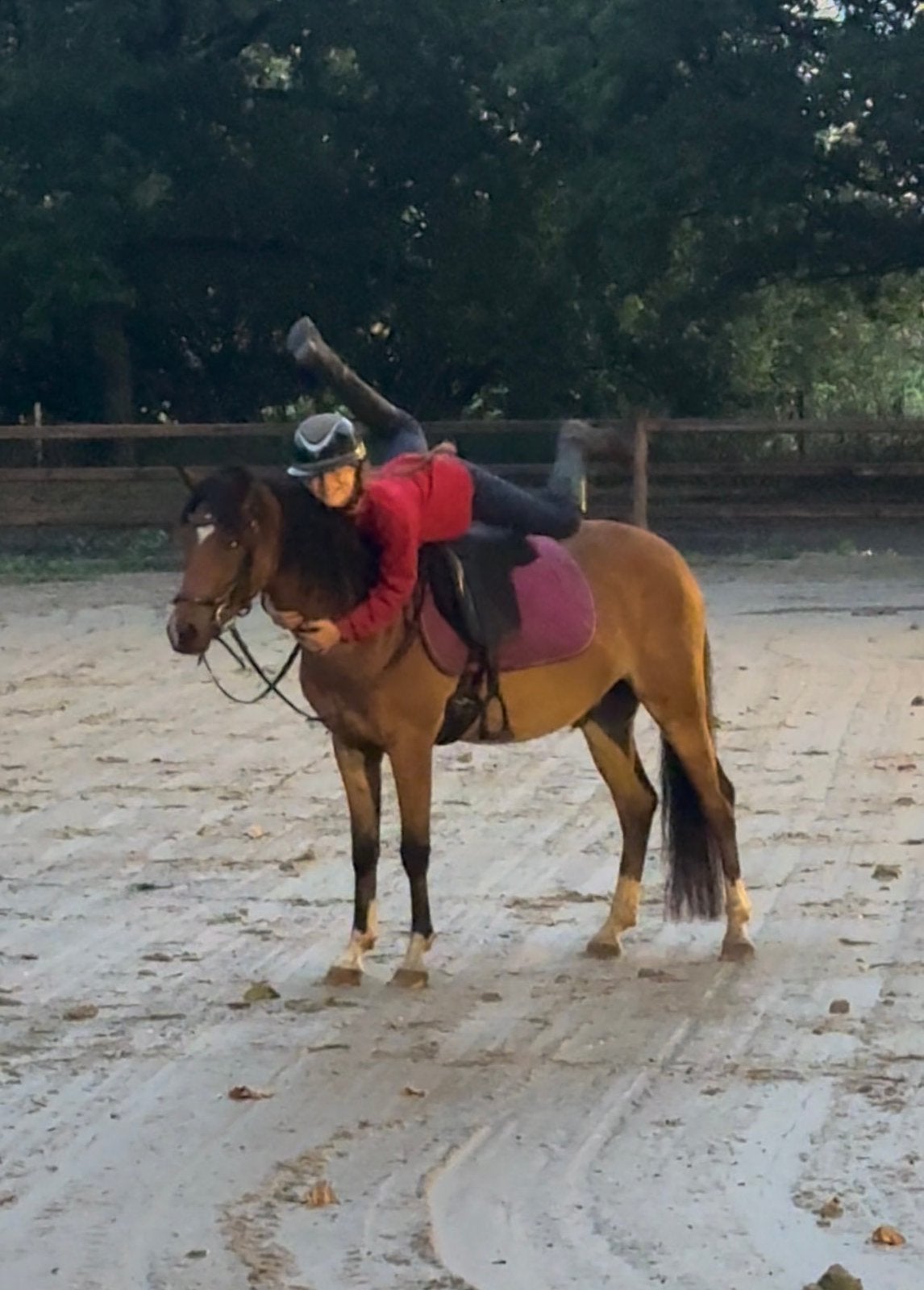 Super lieve en brave kinderpony!, Dieren en Toebehoren, Ruin, C pony (1.27m tot 1.37m), Met stamboom, 3 tot 6 jaar