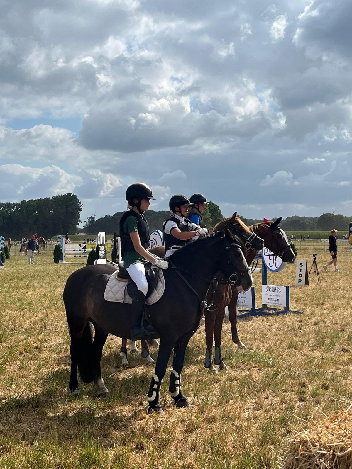 Pony gezocht!! OMGEVING GEEL, Ophalen