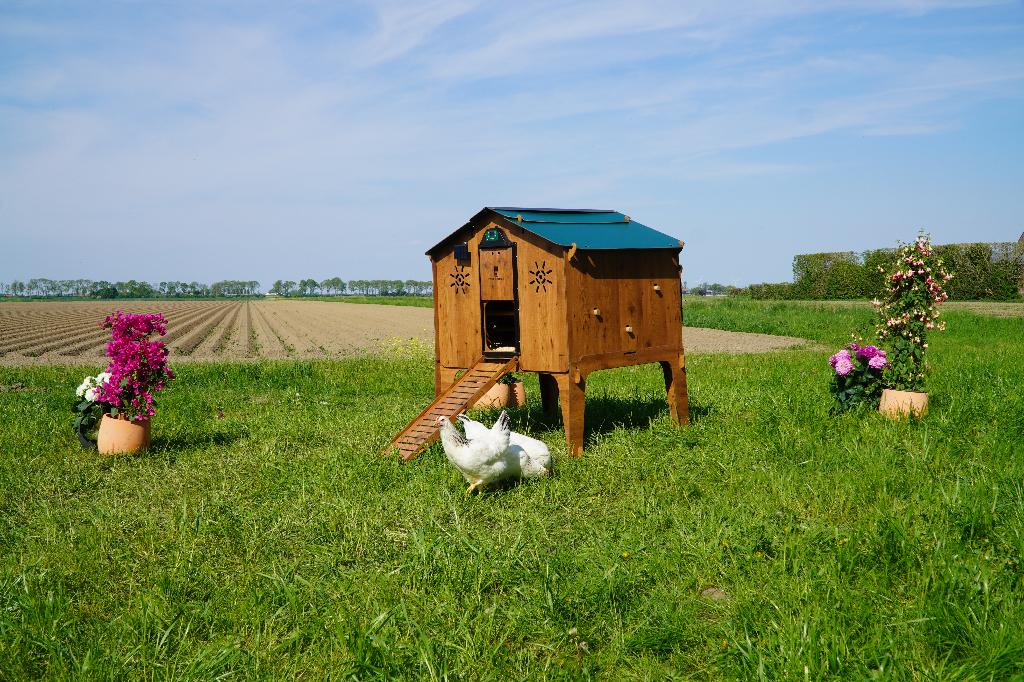 Trespa Kippenhok Cucciolotta | Duplex 2XL, Enlèvement ou Envoi, Neuf, Poulailler