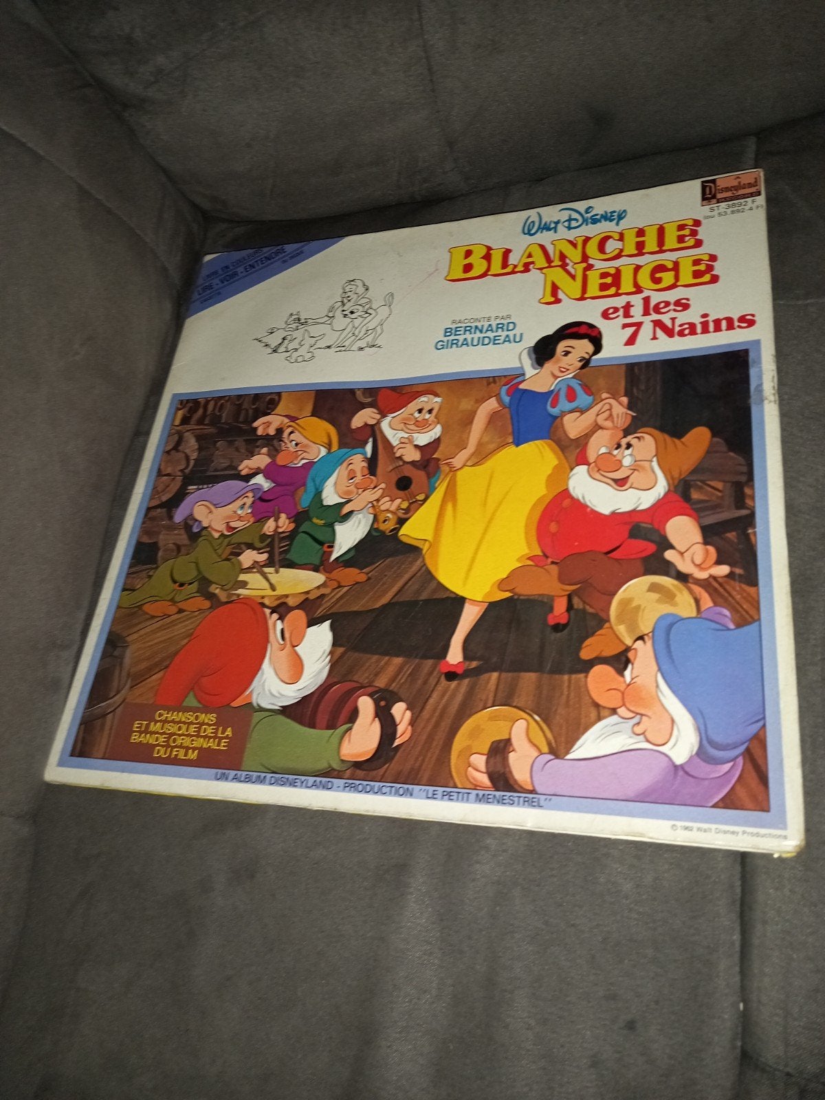 Vinyle blanche neige, CD & DVD, Vinyles | Enfants & Jeunesse, Enlèvement ou Envoi
