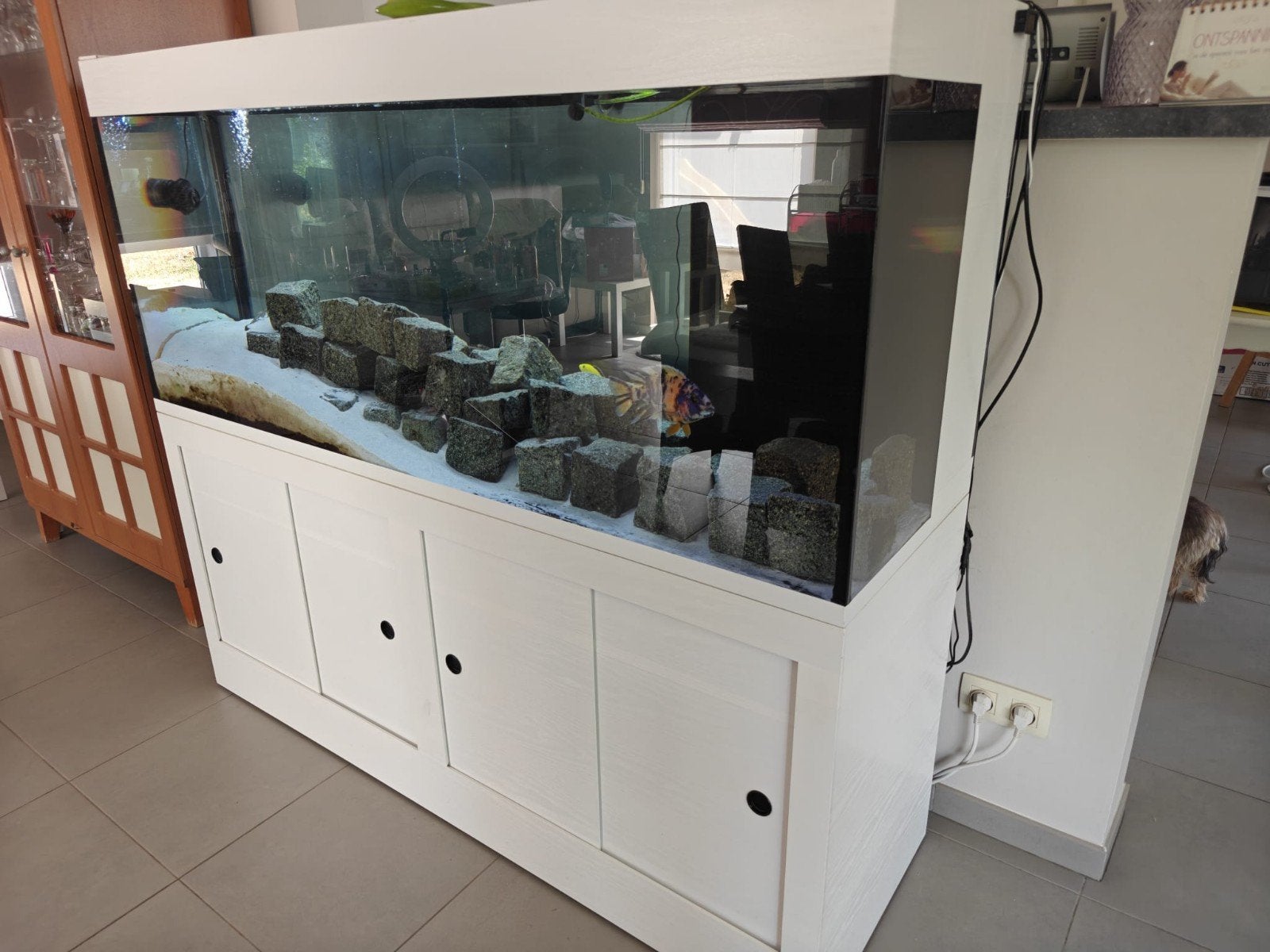 zoetwater aquarium 560 liter compleet met kast en techniek, Dieren en Toebehoren, Vissen | Aquaria en Toebehoren, Ophalen, Pomp