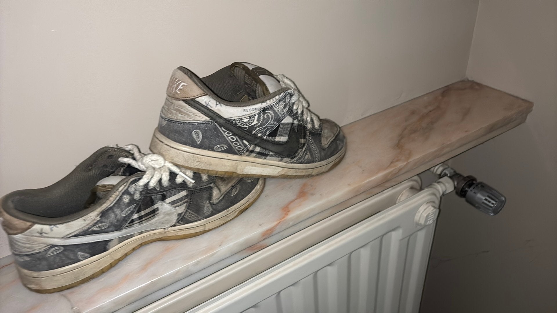 Nike SB Dunk Low Travis Scott, Autres couleurs, Enlèvement, Porté, Baskets