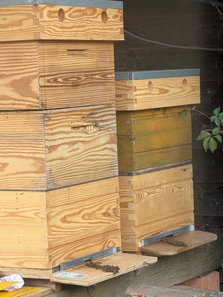 Bijenkast, Animaux & Accessoires, Insectes & Araignées, Abeilles
