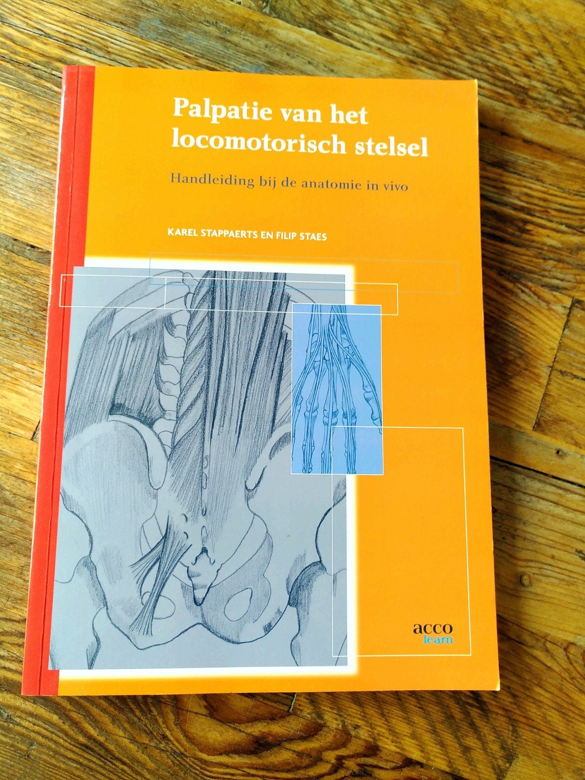 Palpatie van het locomotorisch stelsel, Ophalen, Zo goed als nieuw, Hoger Onderwijs