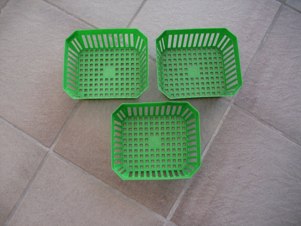 Bollenmandjes, Jardin & Terrasse, Bulbes & Semences, Enlèvement, Toute l'année, Oignon