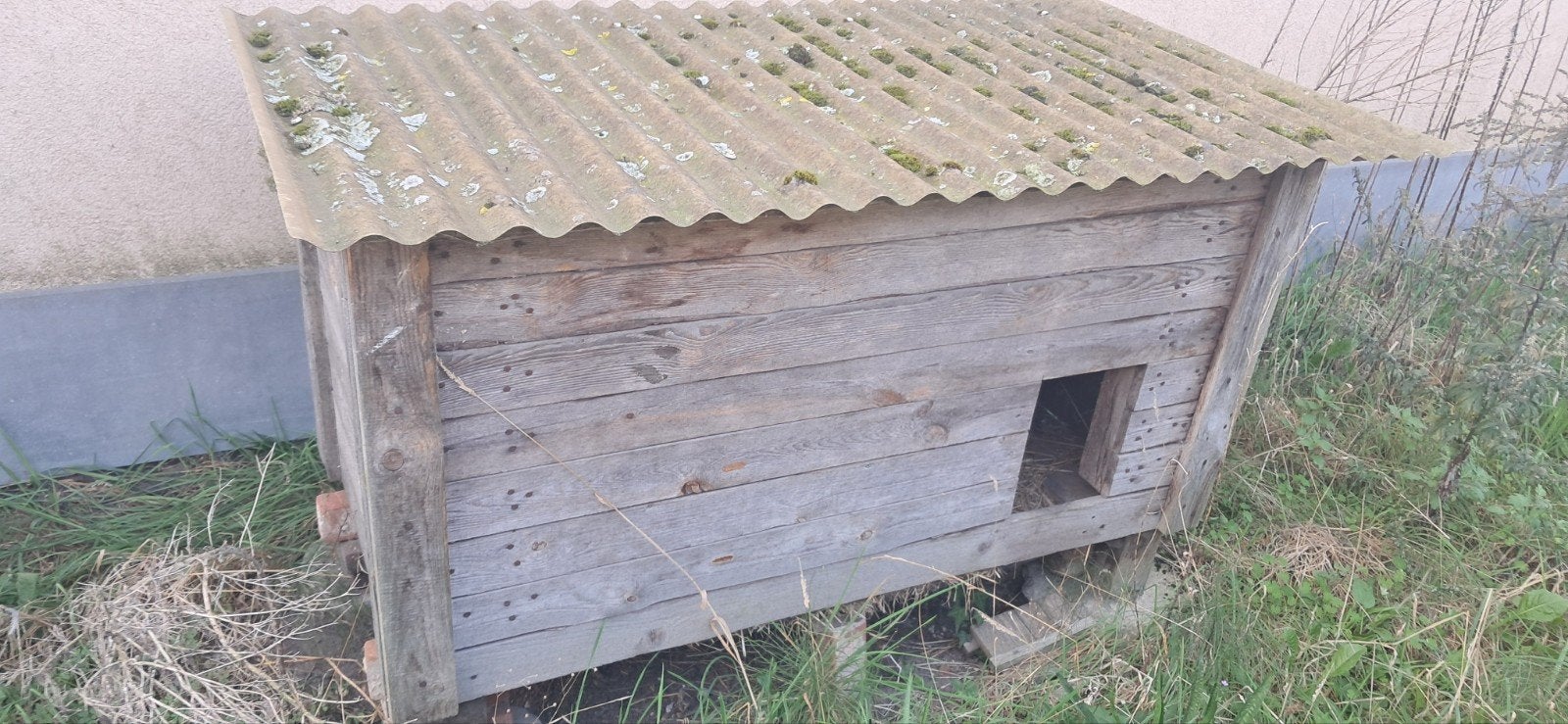 L 170 H 105 D 80 kippenhok, Dieren en Toebehoren, Ophalen, Gebruikt, Kippenhok of Kippenren