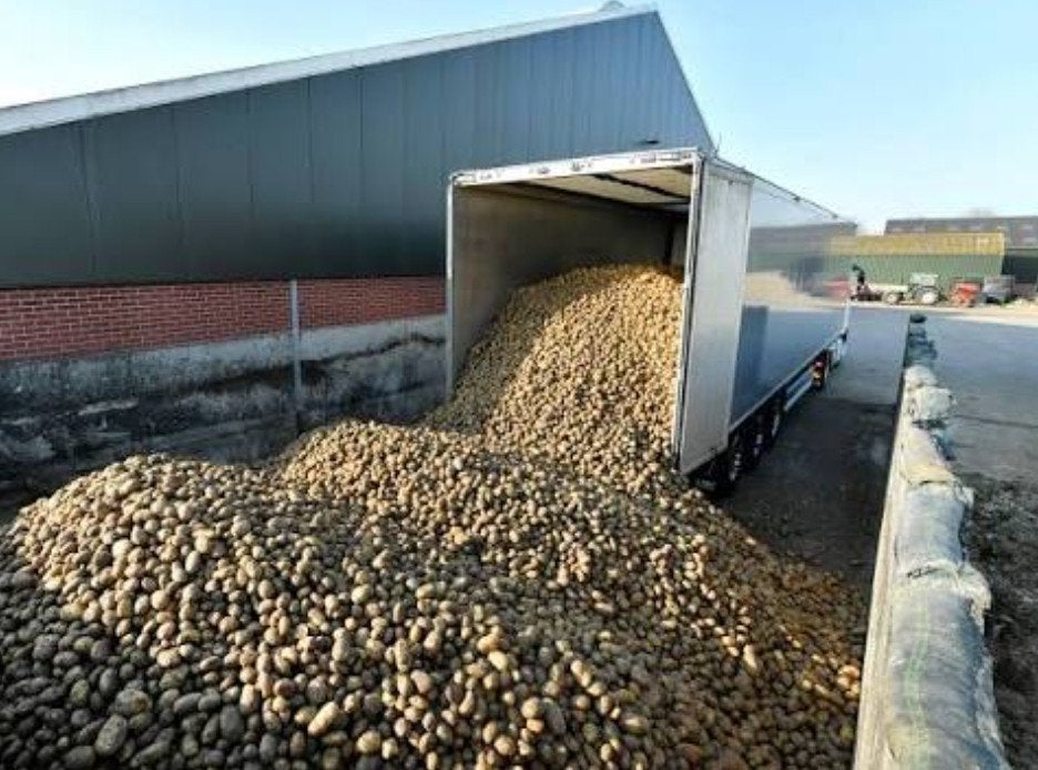 Gezocht aardappelen zonder contract!!!!, Zakelijke goederen, Landbouw | Aardappelen, Groenten, Fruit en Vlees, Ophalen