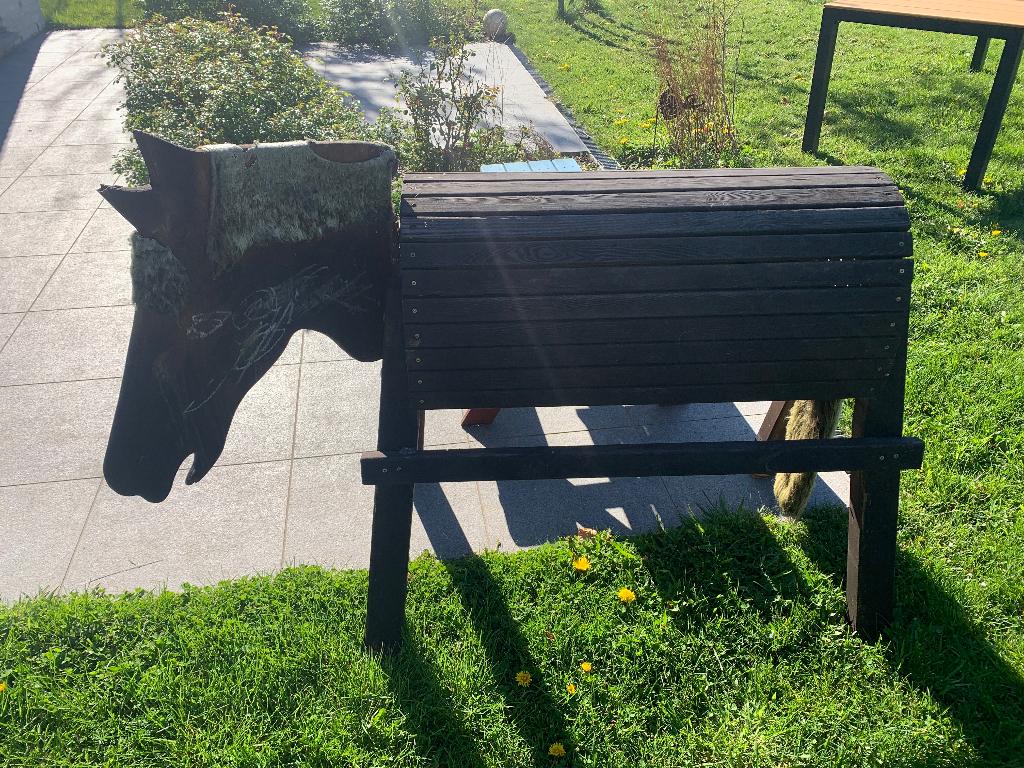 Houten paard, Kinderen en Baby's, Ophalen, Gebruikt