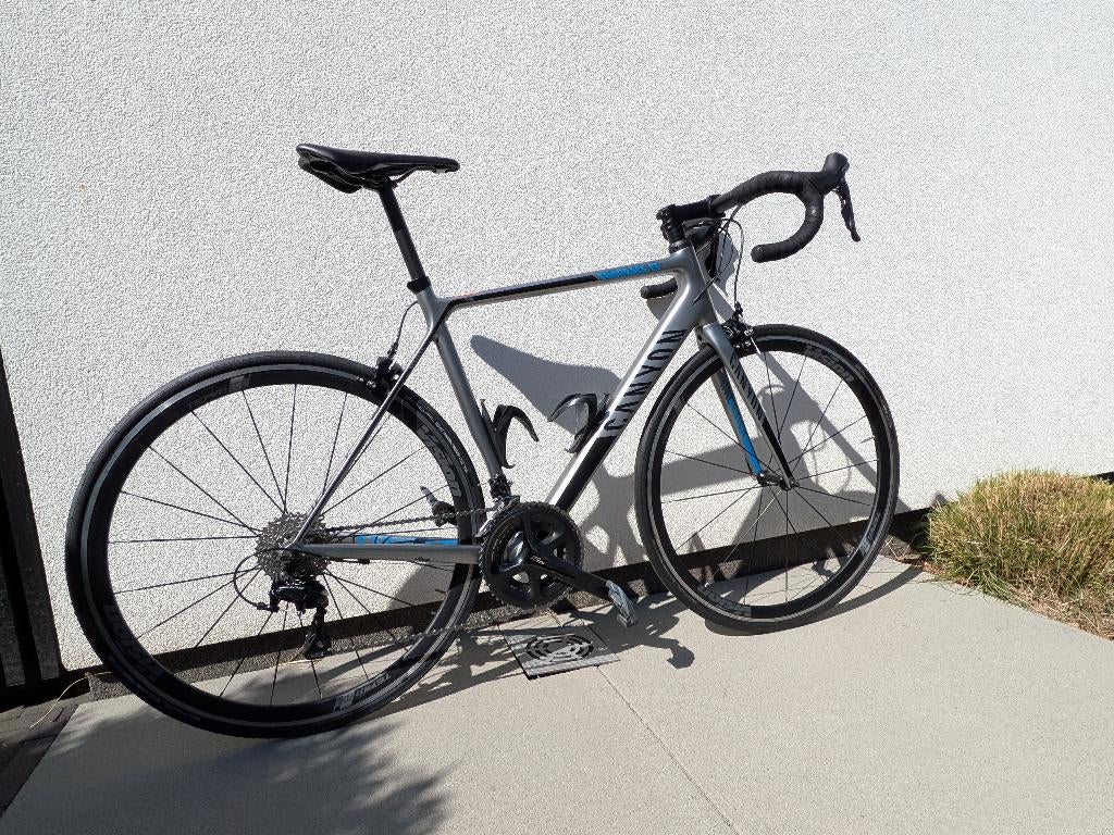 Canyon Endurace CF 7.0 (M), Autres marques, Frein sur jante, Enlèvement, 28 pouces