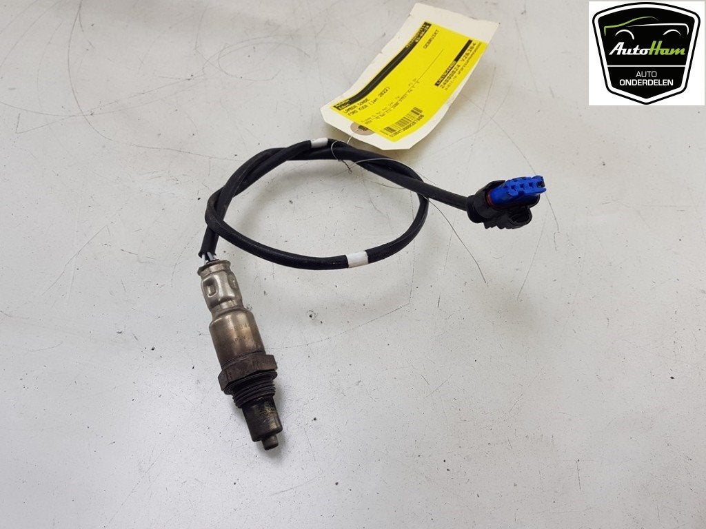 LAMBDASONDE Ford Kuga III (DFK) (|LX619G444BB|2432225|), Gebruikt, Ford