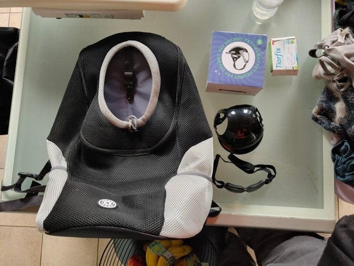 Sac moto / vélo pour chien avec casque et lunette, Enlèvement ou Envoi