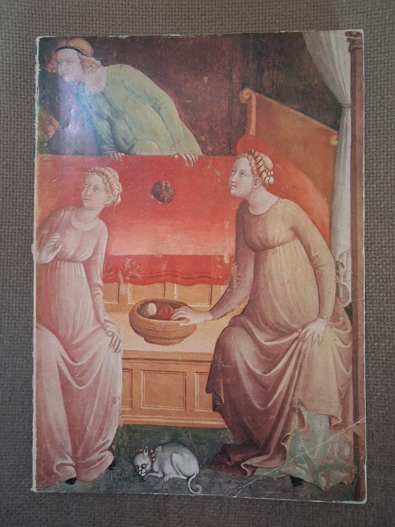 FRESCO'S UIT FLORENCE, Boeken, Ophalen of Verzenden