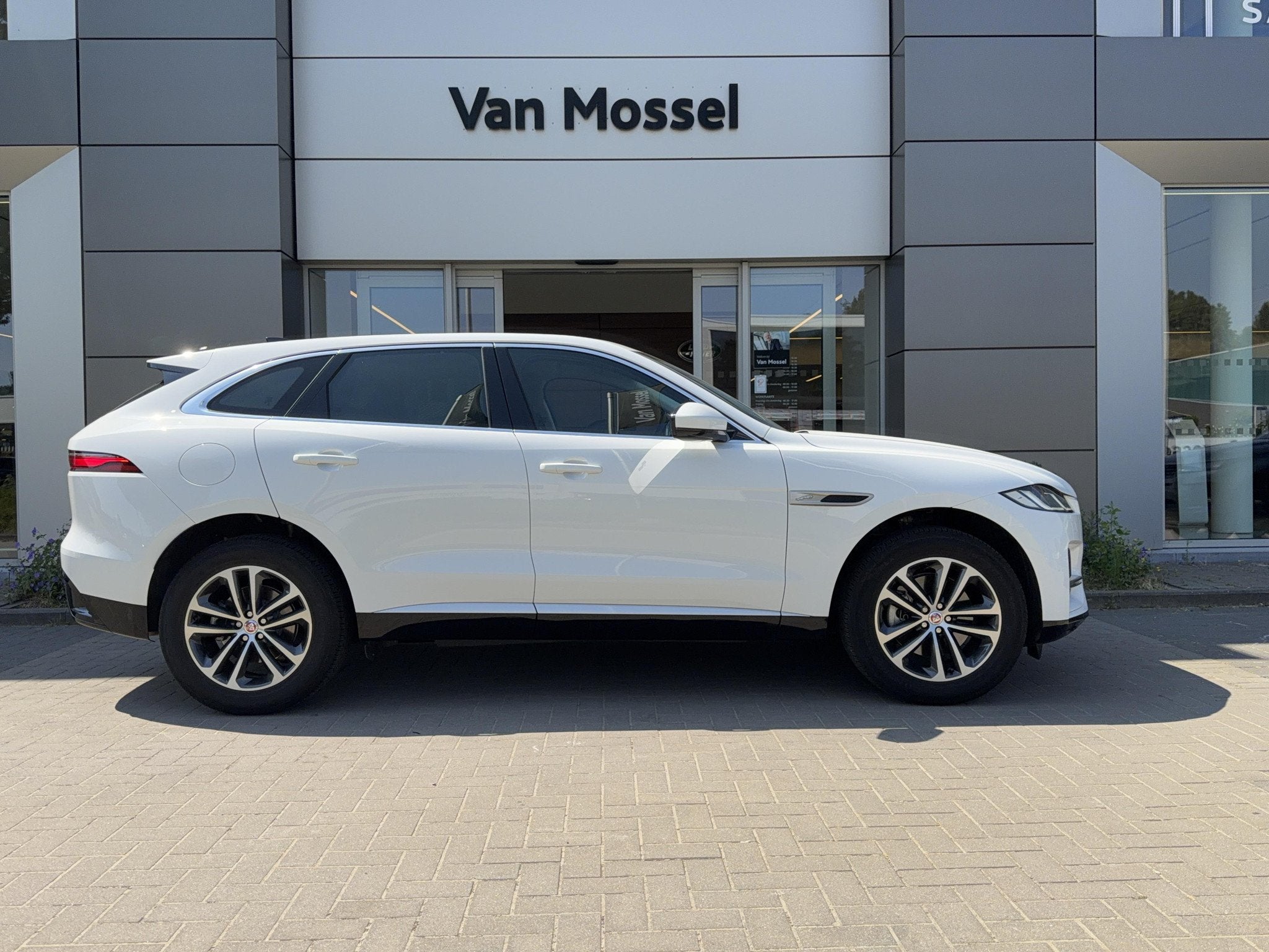 Jaguar F-Pace P250 SE AWD Auto. 22MY (automatique), Euro 6, Entreprise, 5 portes, Automatique