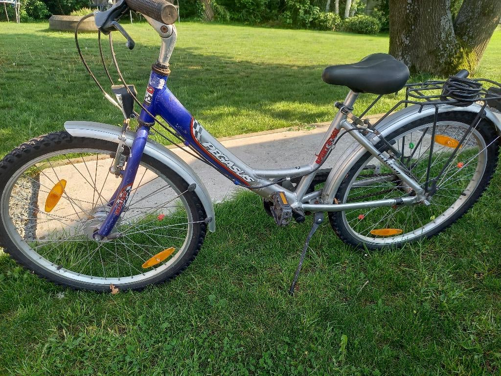 Meisjesfiets 24 inch, Ophalen, Gebruikt, 24 inch, Pegasus