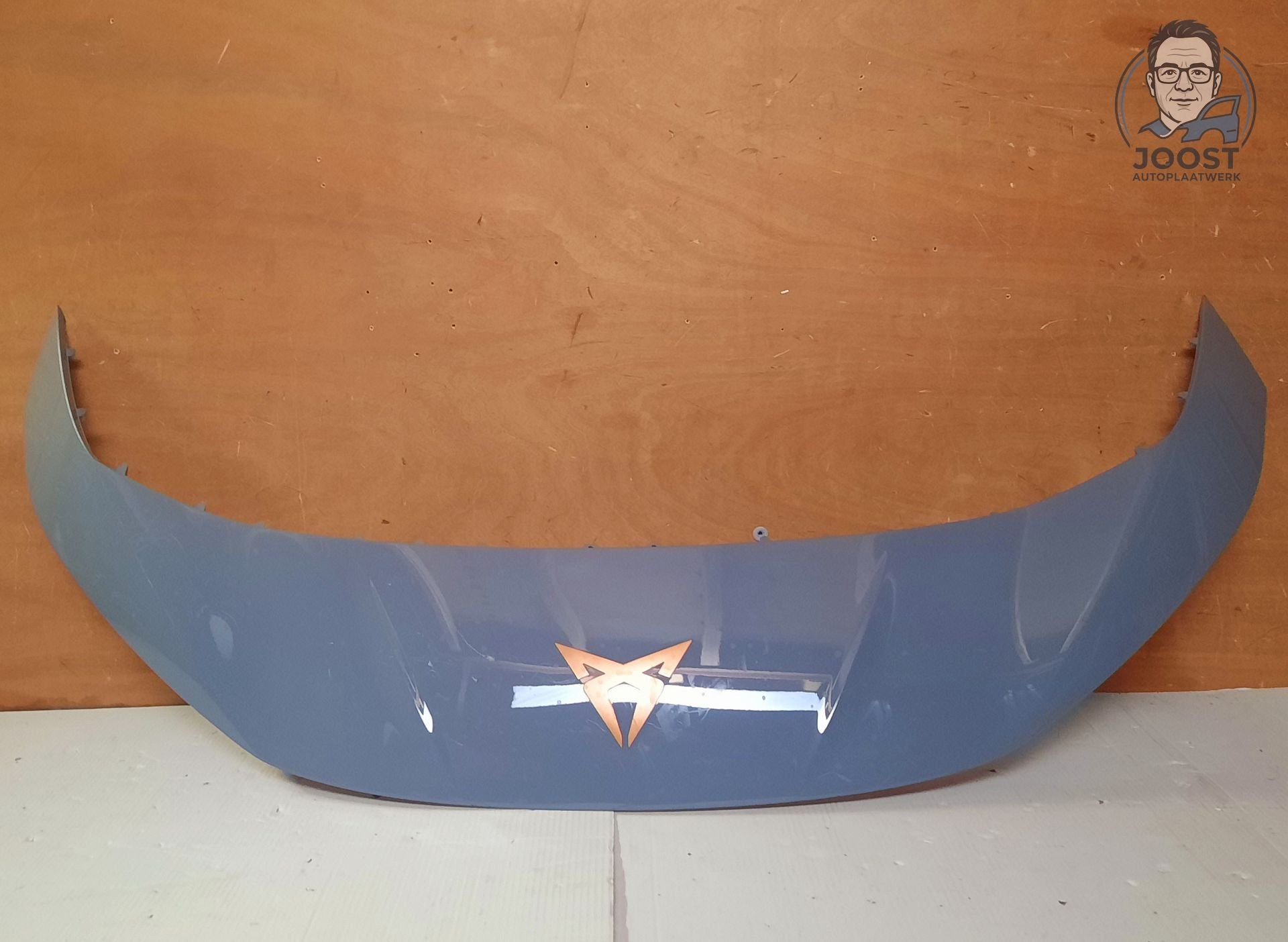 Voorbumper afdekking Cupra Born v.a 2021 10E806333, -Autovia A-2 km 585, 08760 Martorell, Spanje, Origine de la pièce connue, Utilisé
