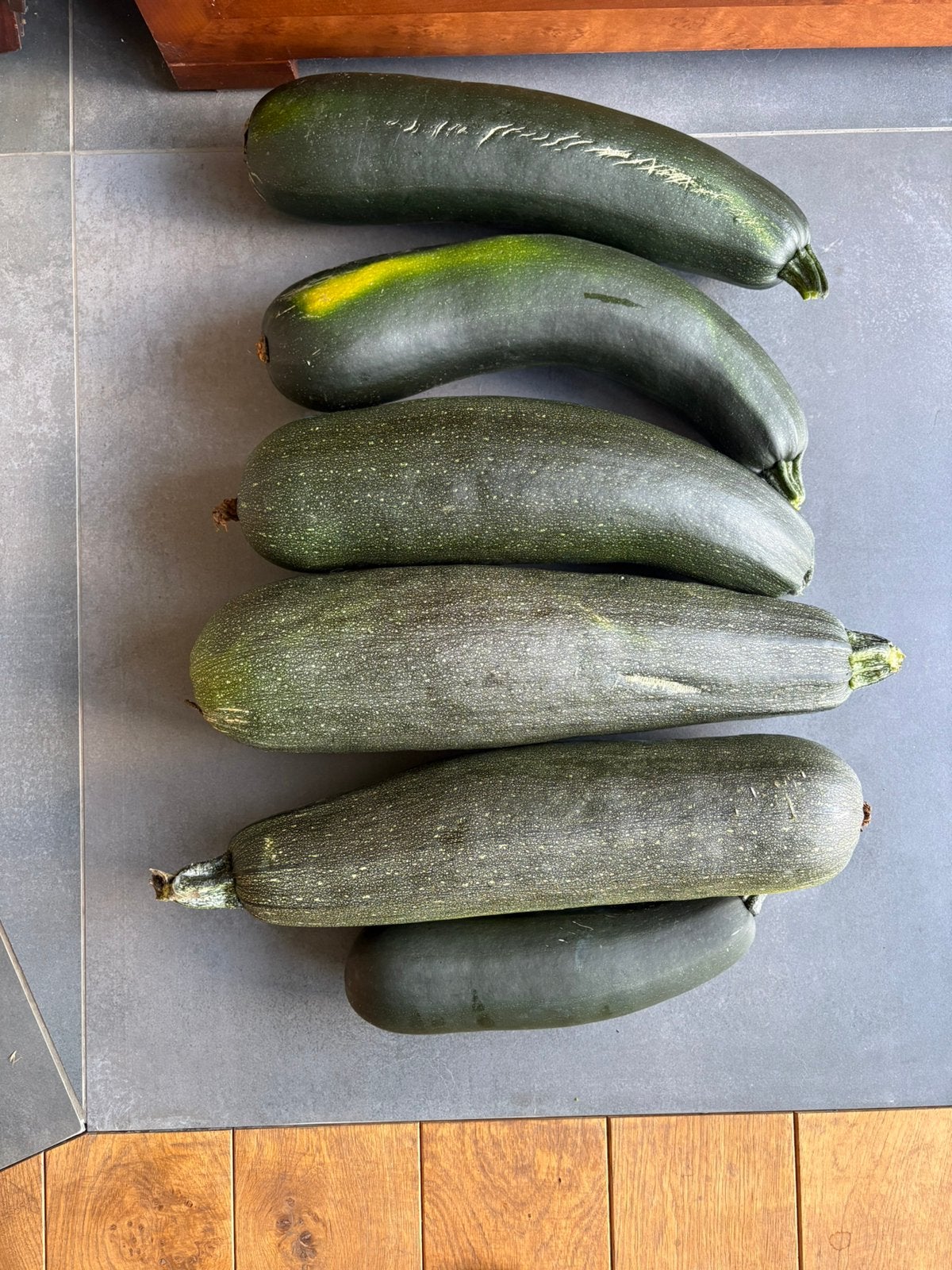 Courgettes fraîches du jardin, récoltées récemment., Divers, Enlèvement