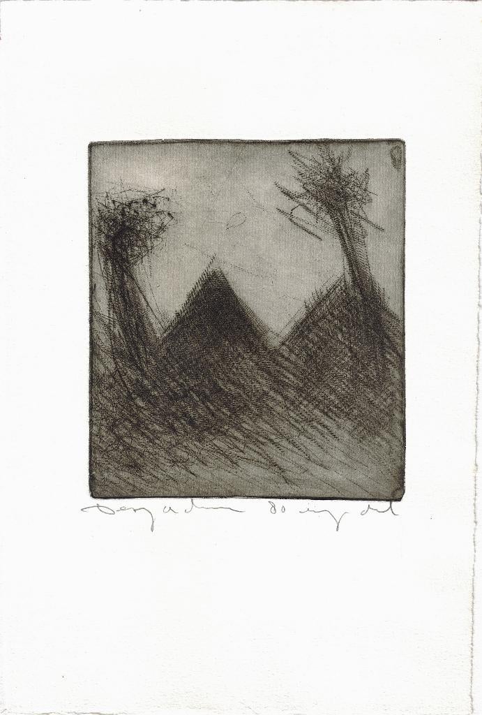 David Desjardijn ets "Landschap met Bomen en Daken", 1980, Antiek en Kunst, Kunst | Etsen en Gravures, Ophalen, Gesigneerd, Landschap
