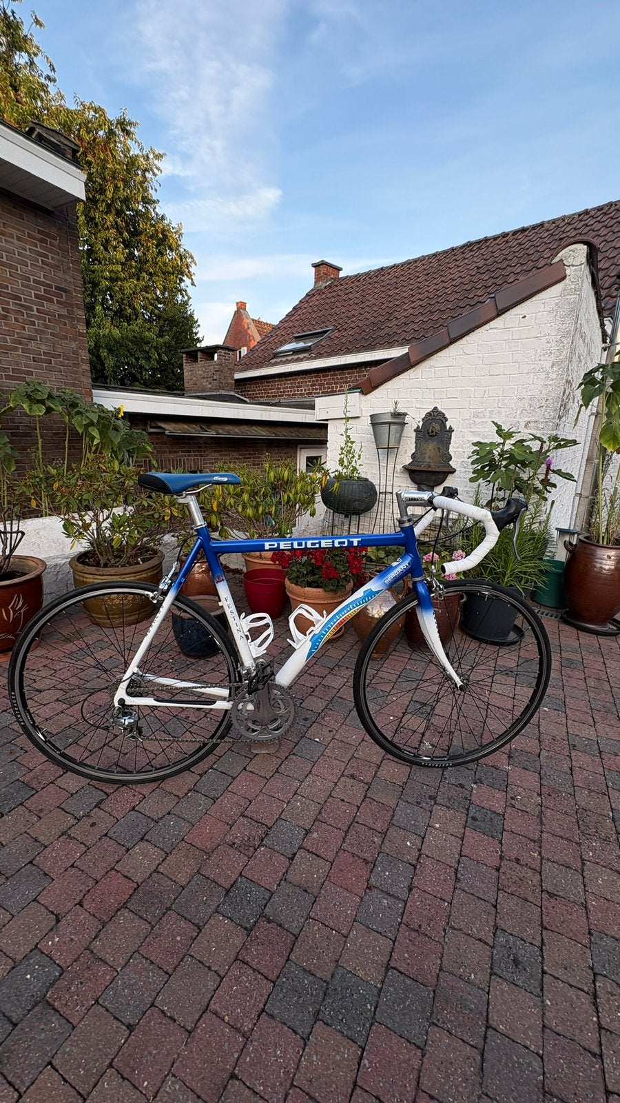 Peugot festina 1998 koersfiets, Enlèvement, Comme neuf