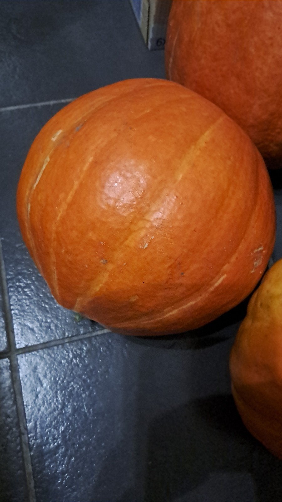 pompoen, Divers, Produits alimentaires, Enlèvement