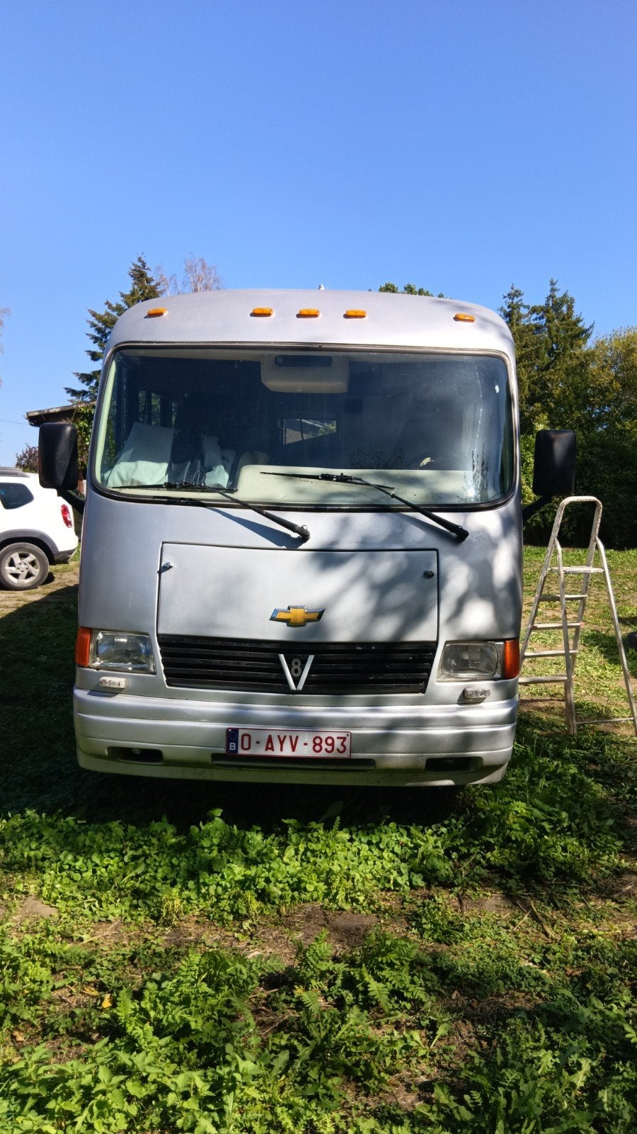 Rexall châssis Chevrolet 1993 ancêtre, Caravanes & Camping, Camping-cars, Jusqu'à 5, Intégral, Douche, 8 à 9 mètres