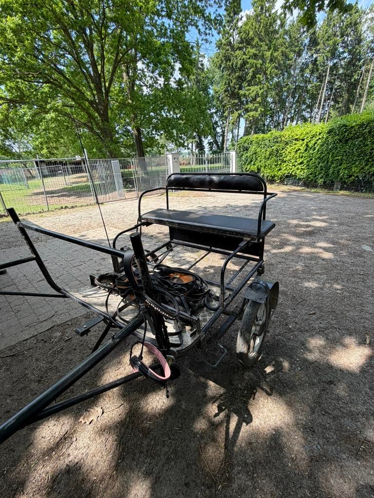 Koets, Dieren en Toebehoren, Gebruikt, Paard of Pony
