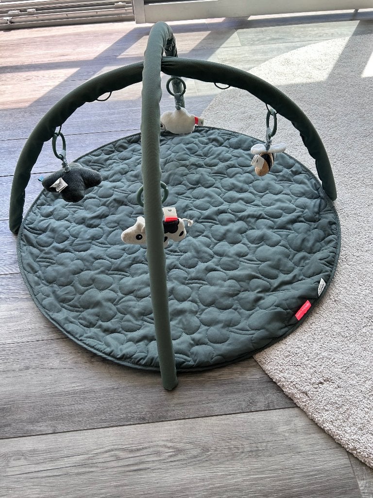 Speelmat baby, Kinderen en Baby's, Ophalen, Zo goed als nieuw