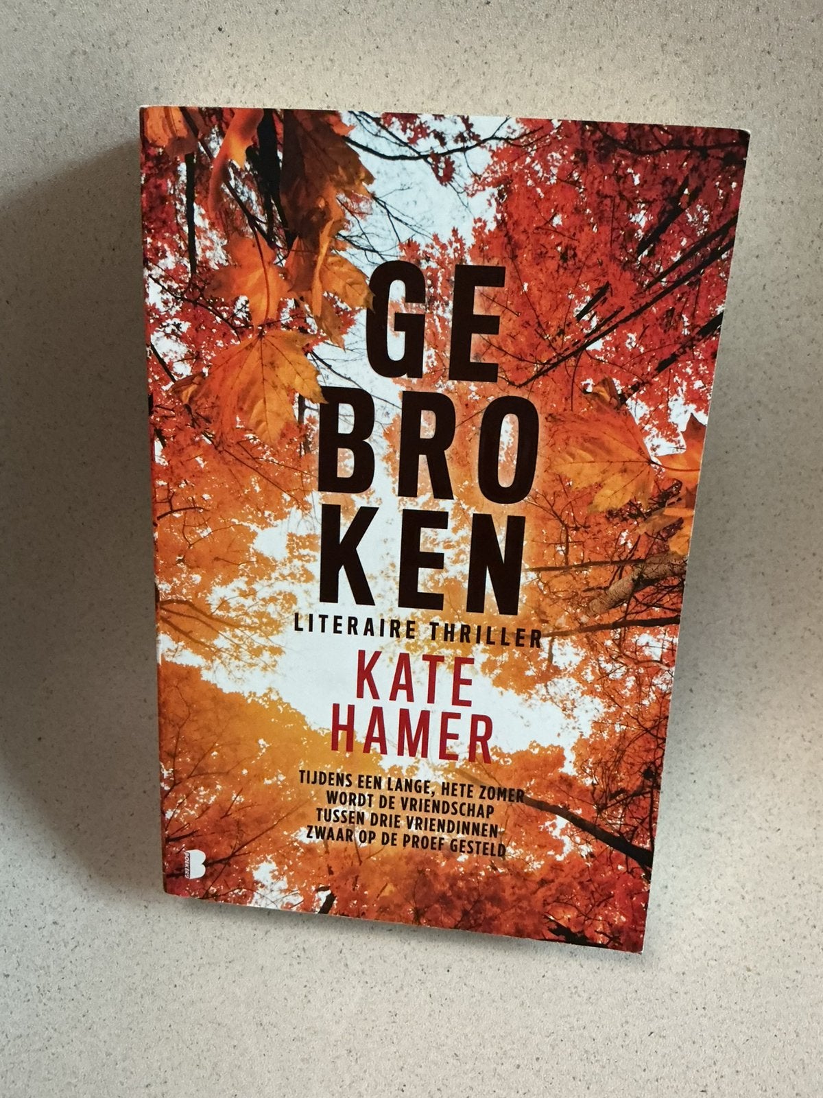 Kate Hamer - Gebroken, Ophalen, Zo goed als nieuw, Kate Hamer