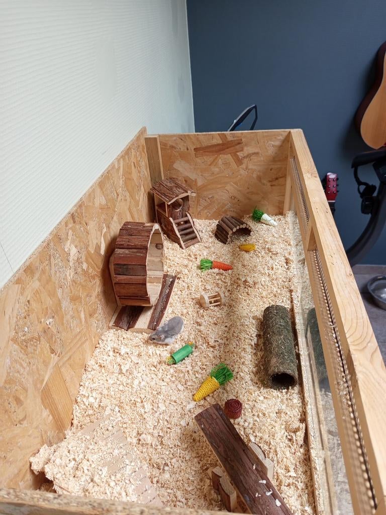 Terrarium + toebehoren voor een Hamster, Dieren en Toebehoren, Mei, Hamster
