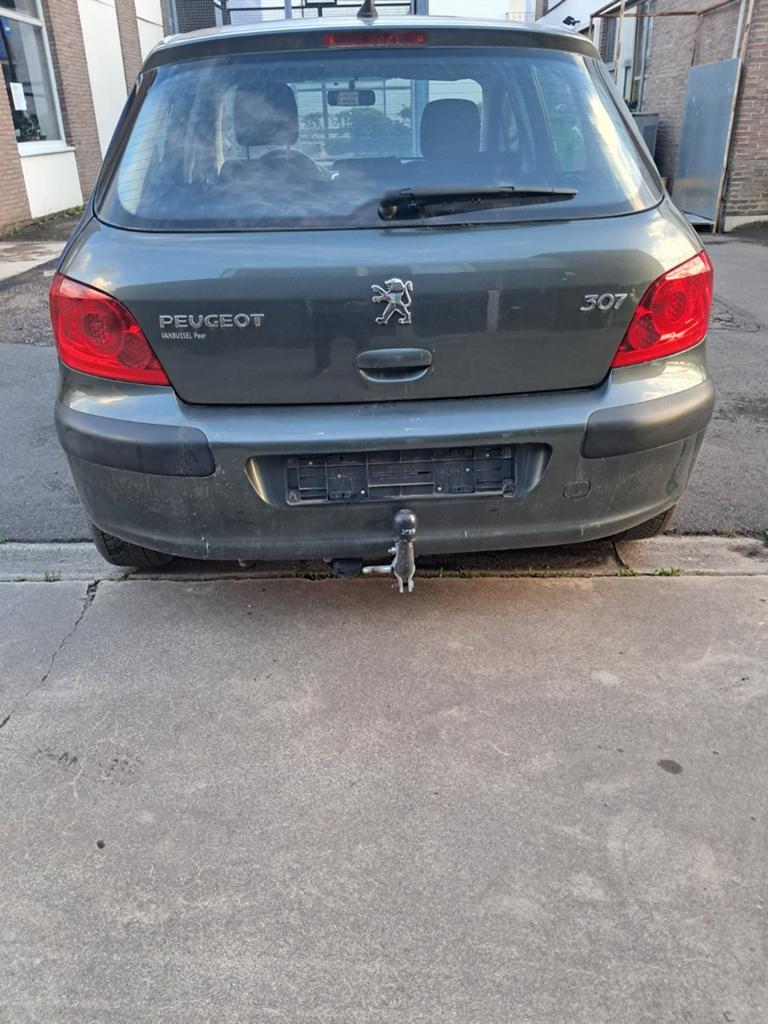 Peugeot  307 1.4benzin, Auto's, Peugeot, 5 deurs, Particulier, Euro 4, Airconditioning
