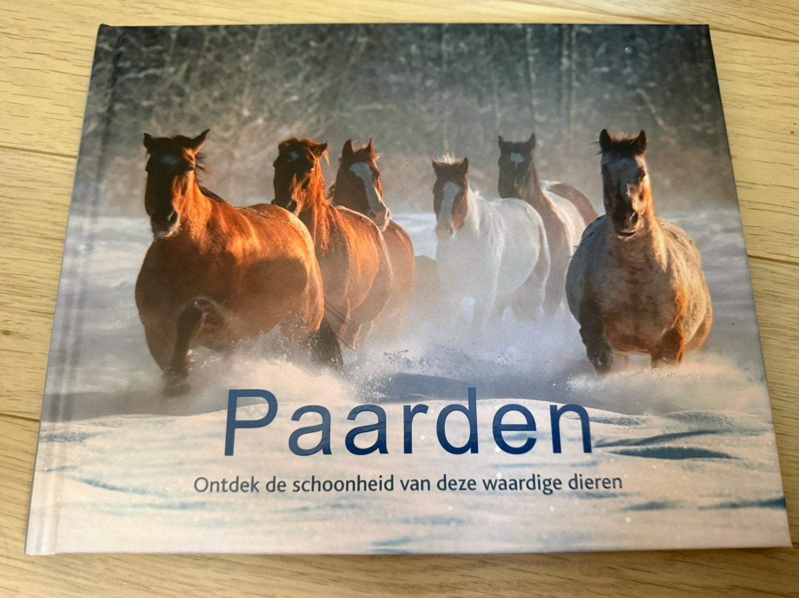 Boek Paarden, Boeken, Ophalen of Verzenden, Gelezen, Paarden of Pony's