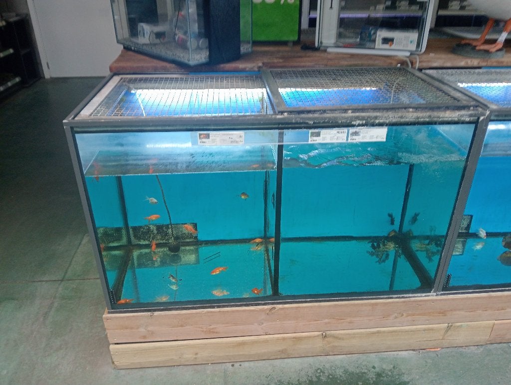 Aquarium à donner, Enlèvement, Utilisé